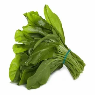 Sticker Сигма Элгар организацыа🎖️ - 6