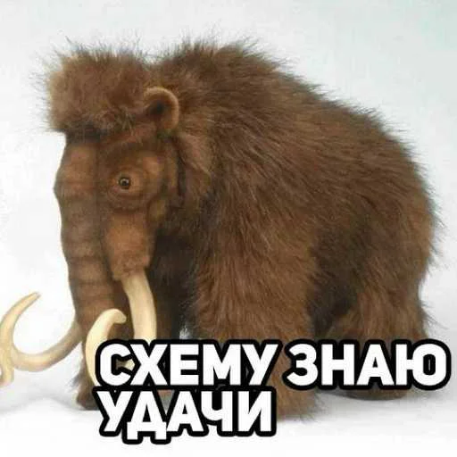 Темки Тут 👉@PerehodByDollarovy👈 - 