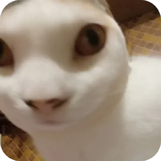 Sticker СЛАДОСТЬ ОТ @YeaahxDD ➡️ @EmojiRuBot - 10