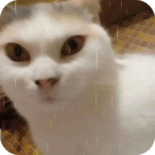 Sticker СЛАДОСТЬ ОТ @YeaahxDD ➡️ @EmojiRuBot - 7