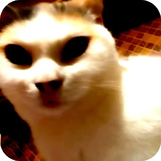 Sticker СЛАДОСТЬ ОТ @YeaahxDD ➡️ @EmojiRuBot - 11