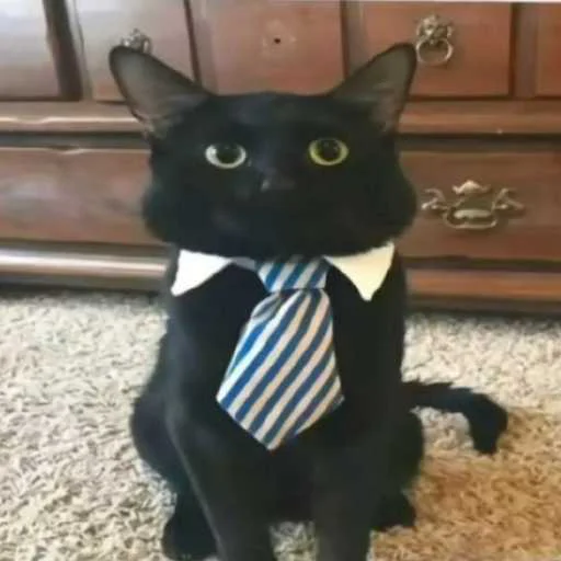 Кот с галстуком ➡️ @EmojiRuBot - 