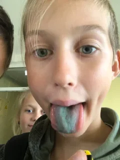 Sticker Гусь ➡️ @Ctikerubot - 0