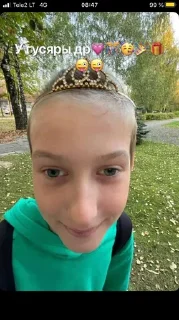 Sticker Гусь ➡️ @Ctikerubot - 4