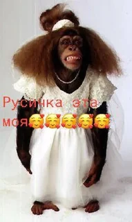 Sticker Нура ➡️ @Ctikerubot - 0