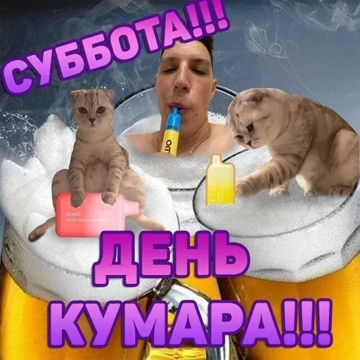 Sticker #нуда так просто нуу как бы ➡️ @Ctikerubot - 7