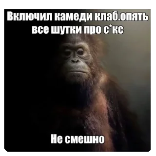 Sticker плебеительно - 8