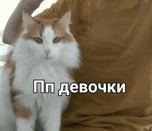 Стикер Плесневелый сад - 0