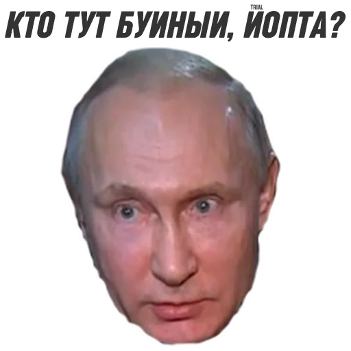 text human face forehead