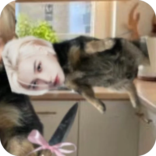 Sticker plotplotplotplotplotplotplotplotplotplot - 1