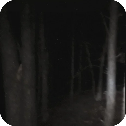 Sticker plotplotplotplotplotplotplotplotplotplot - 1