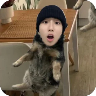 Sticker живое мясо. (стики lkm1yo) - 4