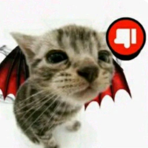 Стикер plsbepatientihaveautism - 1