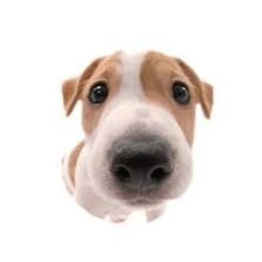 Sticker plsbepatientihaveautism - 1