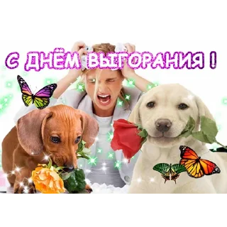 Стикер мои любимые картинки в сети интернет - 1