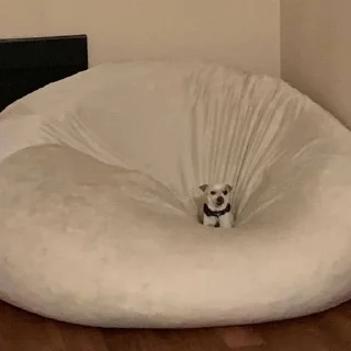 Стикер мои любимые картинки в сети интернет - 0