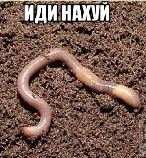 Sticker деду🐓 - 4