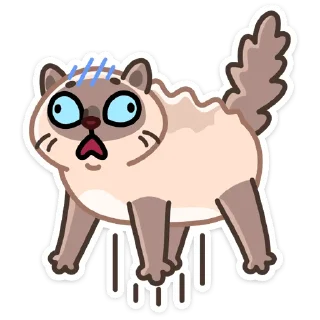 Стикер Котик Плюш • @TgSticker - 3