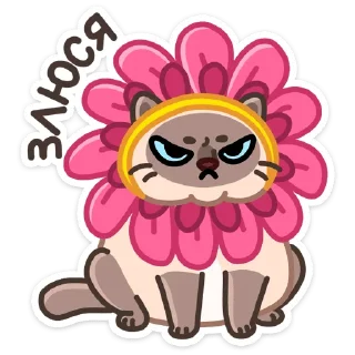 Стикер Котик Плюш • @TgSticker - 2