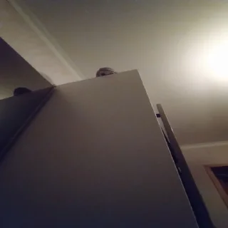 Sticker плюшзоп - 5