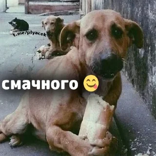 Sticker @plyacek - 0