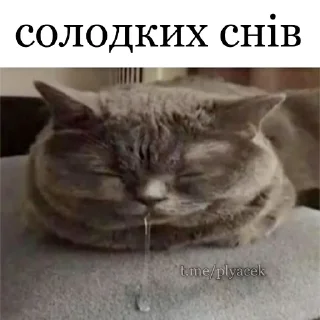 Sticker @plyacek - 8