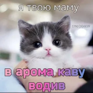 Sticker @plyacek - 1