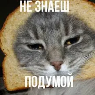 Sticker Больше стикеров: @sticerru - 7