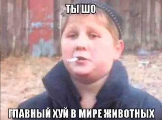 Sticker Больше стикеров: @sticerru - 6