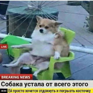 Стикер pm<>pm - 1