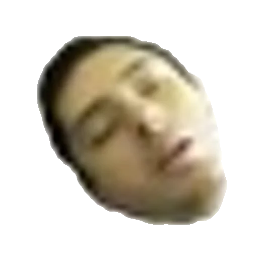 closeup head portrait