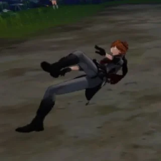 Sticker для пнк дш - 10