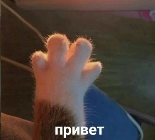 Стикер pochtidogovorila - 1