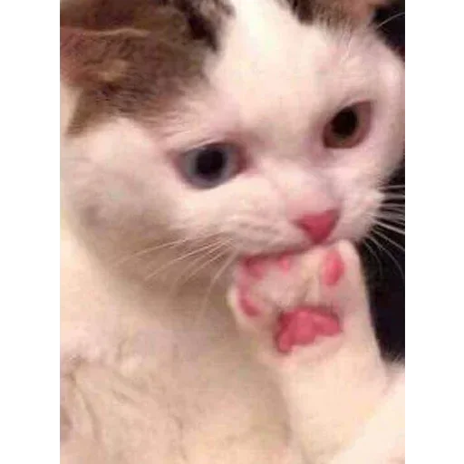 Стикер pochtidogovorila - 1