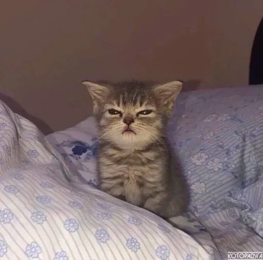 Стикер pochtidogovorila - 1