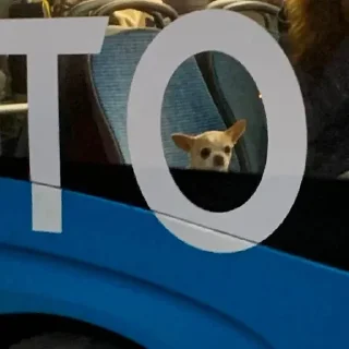 Стикер почти договорила (@s_paretskaya) - 10