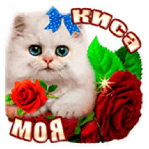 animal flower small to medium-sized cats