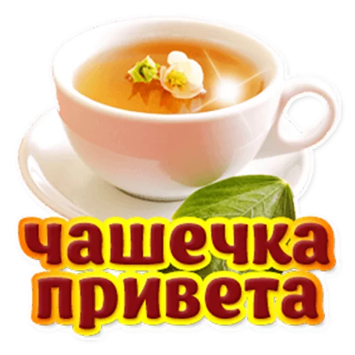 food serveware saucer