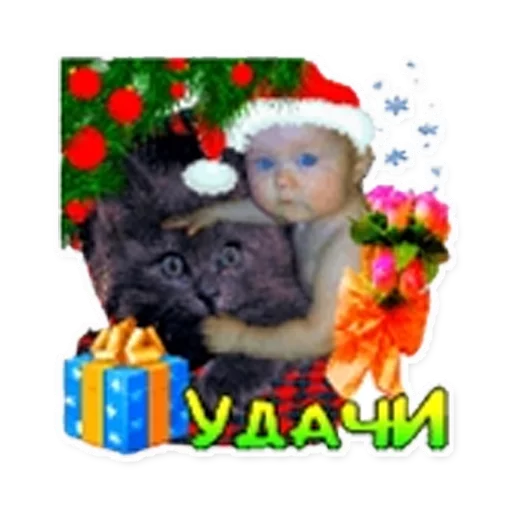 flower mammal animal