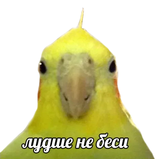 Стикер ПОДБОРКА МЕМОВ part 7 - 7