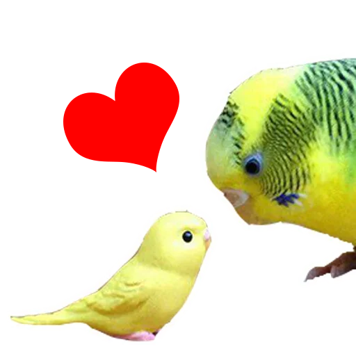 Стикер ПОДБОРКА МЕМОВ part 7 - 3