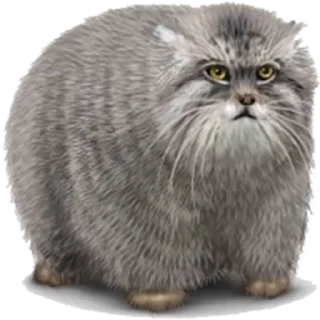 Sticker 𝙑𝙎𝙀 𝙐 𝙉𝘼𝙎 𝙑 𝙋𝙊𝙍𝙔𝘼𝘿𝙆𝙀 - 1