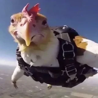 Sticker 𝙑𝙎𝙀 𝙐 𝙉𝘼𝙎 𝙑 𝙋𝙊𝙍𝙔𝘼𝘿𝙆𝙀 - 6