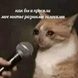 Стикер собака-подозревака - 2