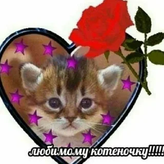 Стикер собака-подозревака - 1