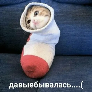 Стикер собака-подозревака - 7