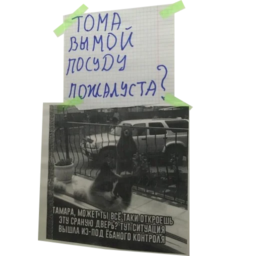 Стикер podsvinki1960 - 1