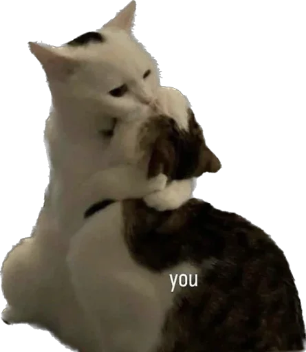 Sticker podsvinki1960 - 1