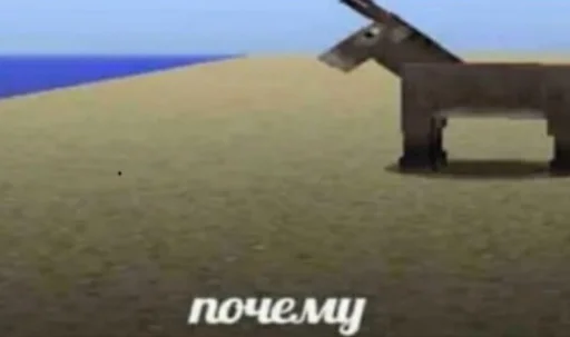 donkey mammal animal