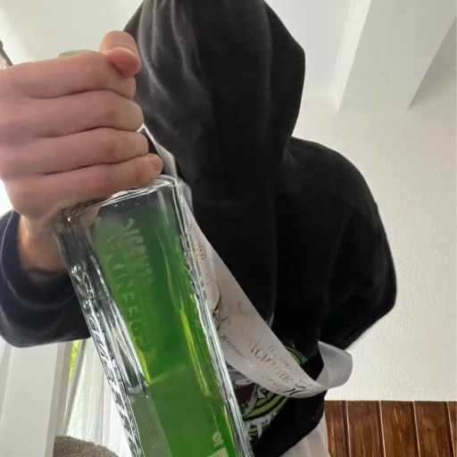 Стикер pofazeavtostopom - 1